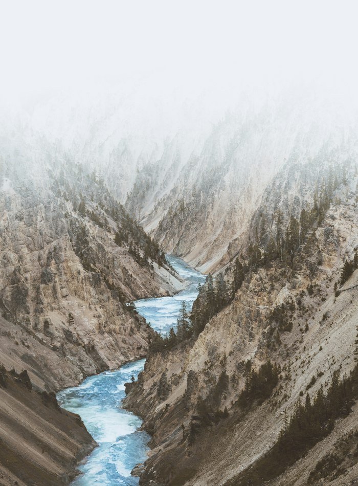 Demo image 2